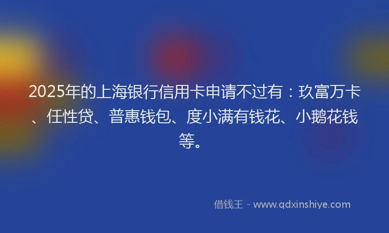 2025年的上海银行信用卡申请不过有：玖富万卡、任性贷、普惠钱包、度小满有钱花、小鹅花钱等。