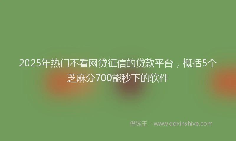 2025年热门不看网贷征信的贷款平台，概括5个芝麻分700能秒下的软件