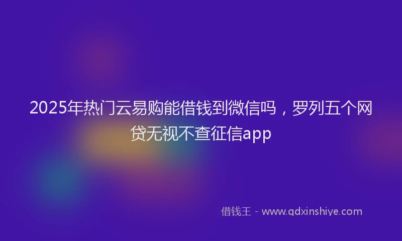 2025年热门云易购能借钱到微信吗，罗列五个网贷无视不查征信app