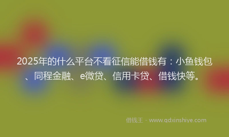 2025年的什么平台不看征信能借钱有：小鱼钱包、同程金融、e微贷、信用卡贷、借钱快等。