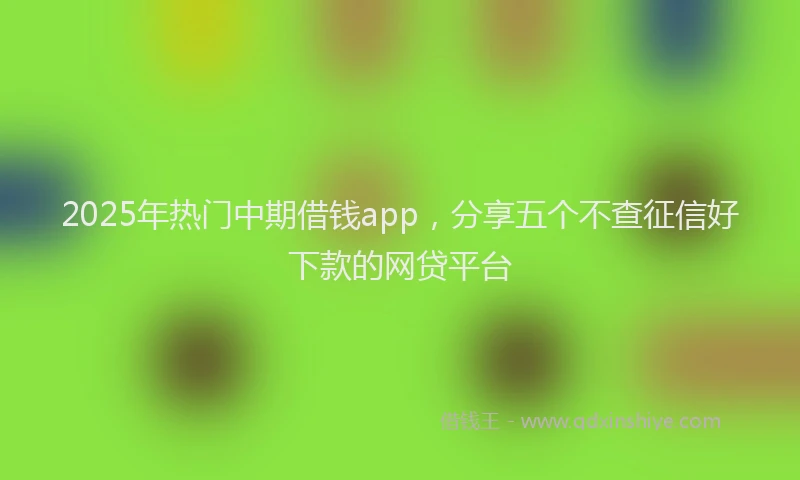 2025年热门中期借钱app，分享五个不查征信好下款的网贷平台