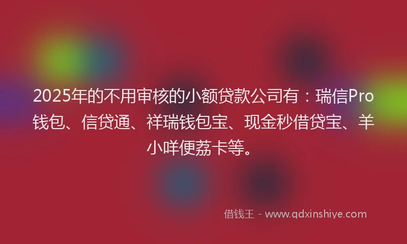 2025年的不用审核的小额贷款公司有：瑞信Pro钱包、信贷通、祥瑞钱包宝、现金秒借贷宝、羊小咩便荔卡等。