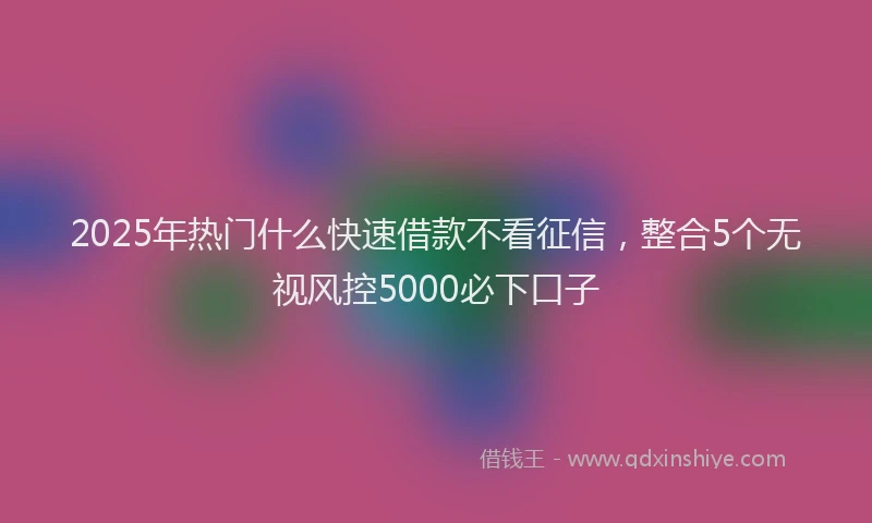 2025年热门什么快速借款不看征信，整合5个无视风控5000必下口子