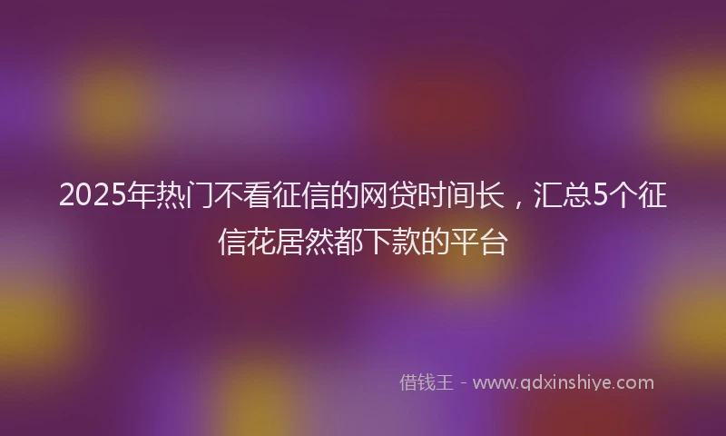 2025年热门不看征信的网贷时间长，汇总5个征信花居然都下款的平台