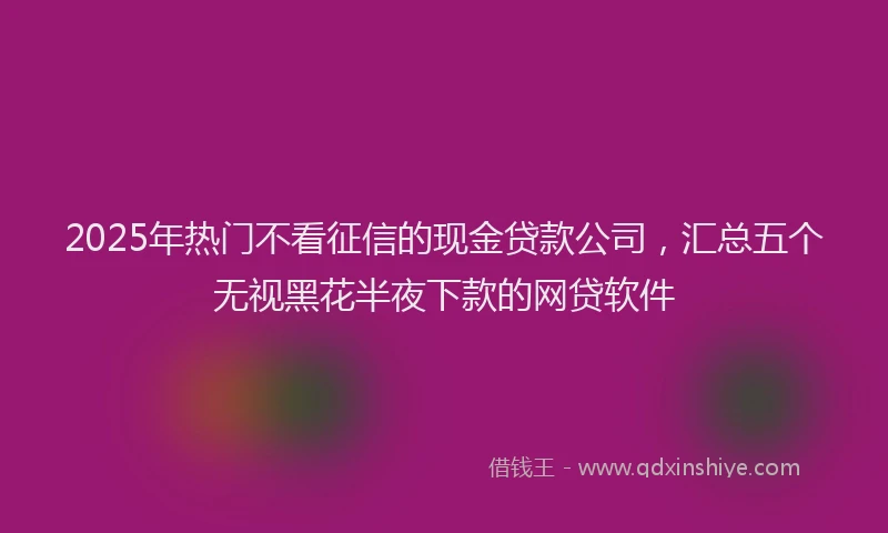 2025年热门不看征信的现金贷款公司，汇总五个无视黑花半夜下款的网贷软件