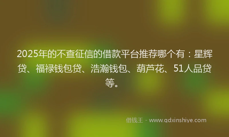 2025年的不查征信的借款平台推荐哪个有：星辉贷、福禄钱包贷、浩瀚钱包、葫芦花、51人品贷等。