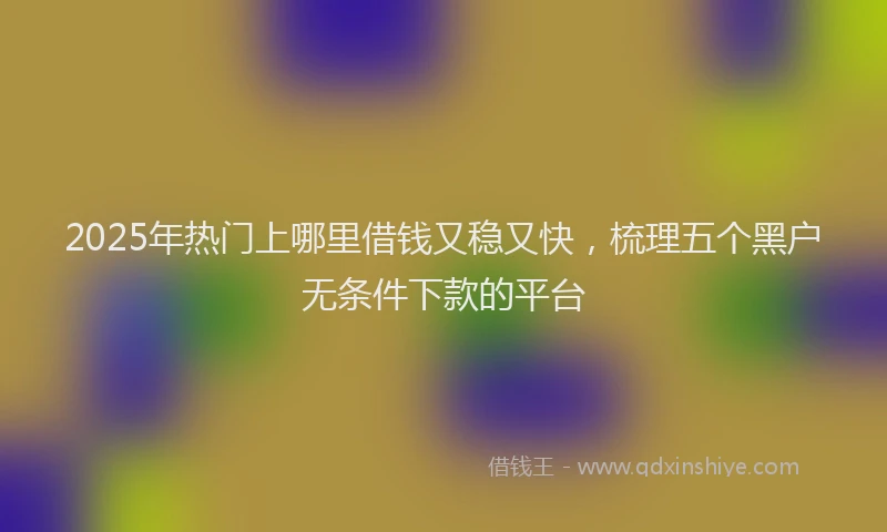 2025年热门上哪里借钱又稳又快，梳理五个黑户无条件下款的平台