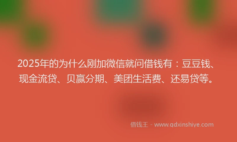 2025年的为什么刚加微信就问借钱有：豆豆钱、现金流贷、贝赢分期、美团生活费、还易贷等。