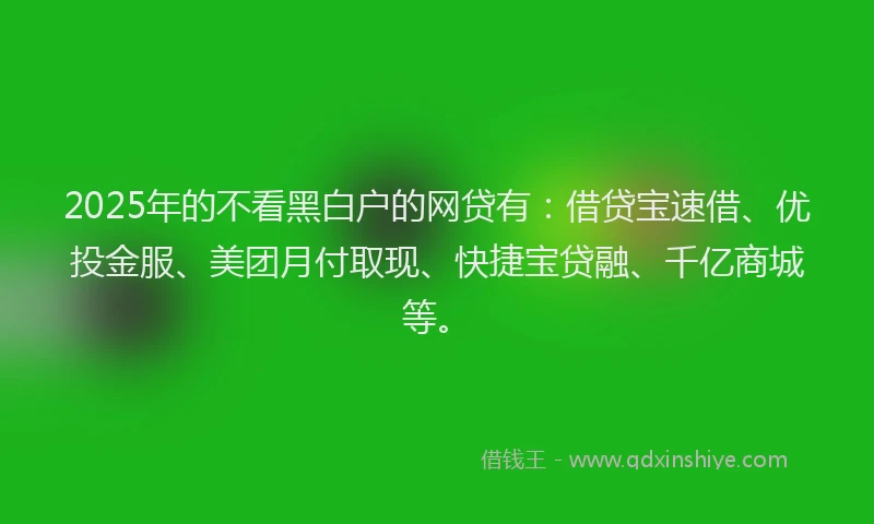2025年的不看黑白户的网贷有：借贷宝速借、优投金服、美团月付取现、快捷宝贷融、千亿商城等。