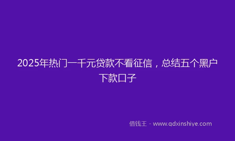 2025年热门一千元贷款不看征信，总结五个黑户下款口子