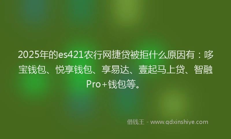 2025年的es421农行网捷贷被拒什么原因有：哆宝钱包、悦享钱包、享易达、壹起马上贷、智融Pro+钱包等。