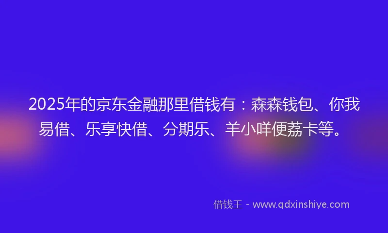 2025年的京东金融那里借钱有：森森钱包、你我易借、乐享快借、分期乐、羊小咩便荔卡等。