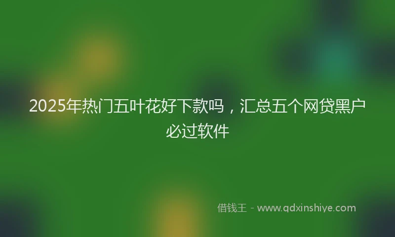 2025年热门五叶花好下款吗，汇总五个网贷黑户必过软件