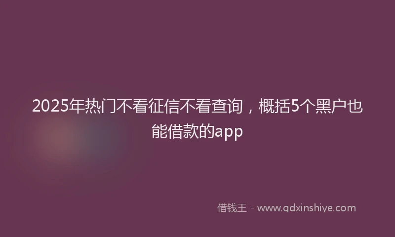 2025年热门不看征信不看查询，概括5个黑户也能借款的app