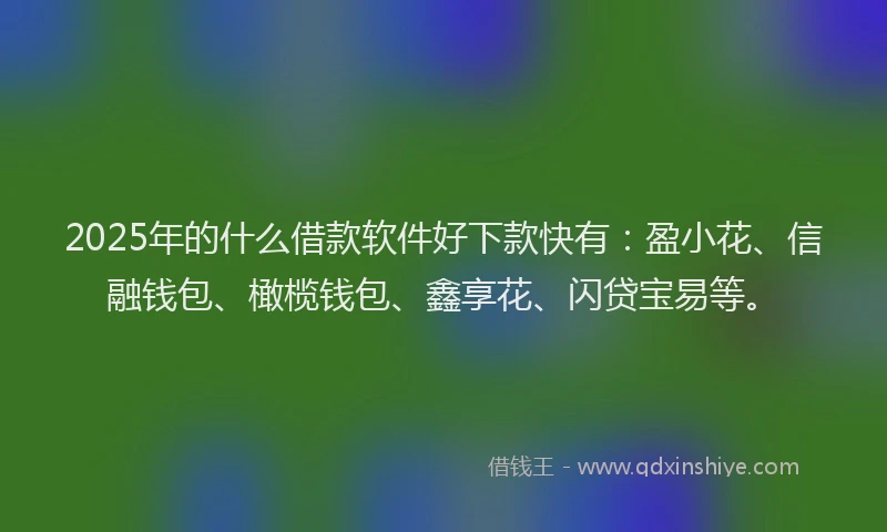 2025年的什么借款软件好下款快有：盈小花、信融钱包、橄榄钱包、鑫享花、闪贷宝易等。