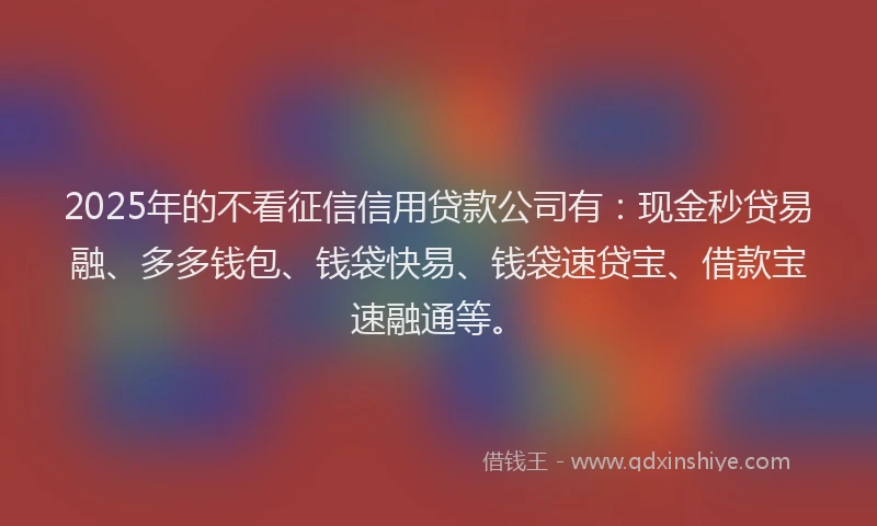 2025年的不看征信信用贷款公司有：现金秒贷易融、多多钱包、钱袋快易、钱袋速贷宝、借款宝速融通等。