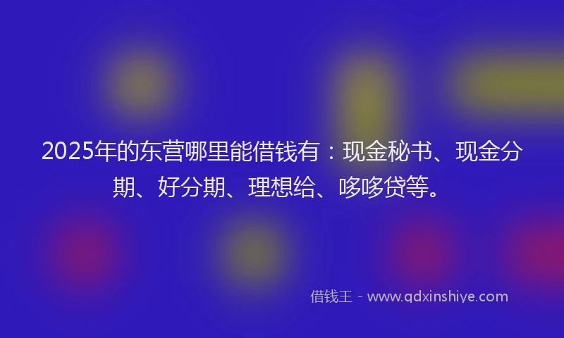 2025年的东营哪里能借钱有：现金秘书、现金分期、好分期、理想给、哆哆贷等。
