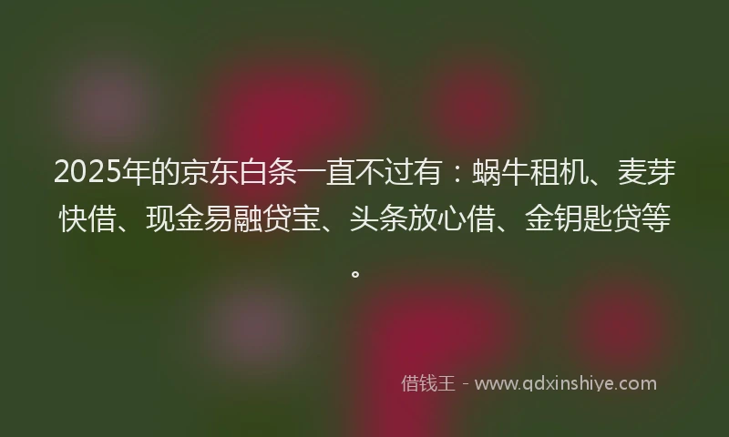 2025年的京东白条一直不过有：蜗牛租机、麦芽快借、现金易融贷宝、头条放心借、金钥匙贷等。