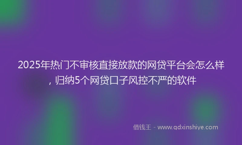 2025年热门不审核直接放款的网贷平台会怎么样，归纳5个网贷口子风控不严的软件