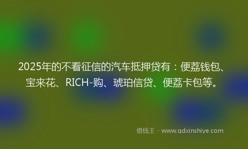 2025年的不看征信的汽车抵押贷有：便荔钱包、宝来花、RICH-购、琥珀信贷、便荔卡包等。