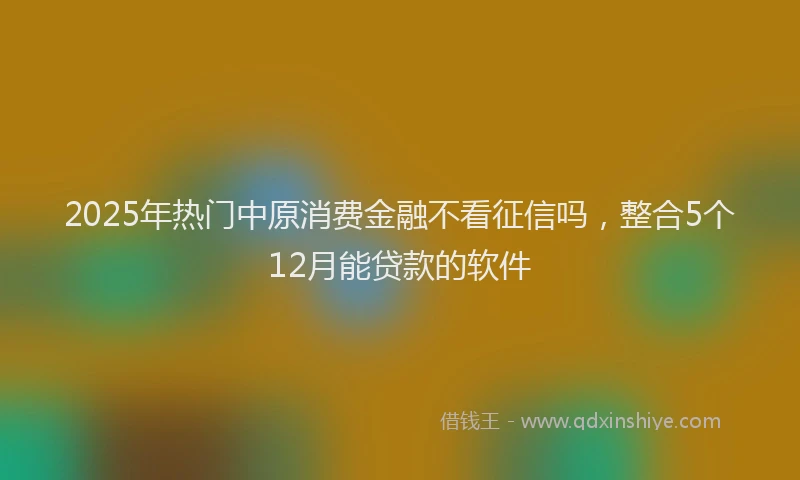 2025年热门中原消费金融不看征信吗，整合5个12月能贷款的软件
