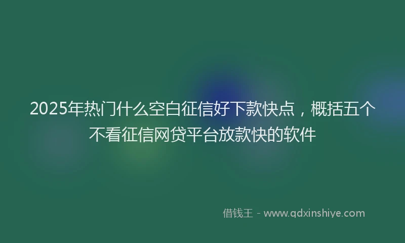 2025年热门什么空白征信好下款快点，概括五个不看征信网贷平台放款快的软件