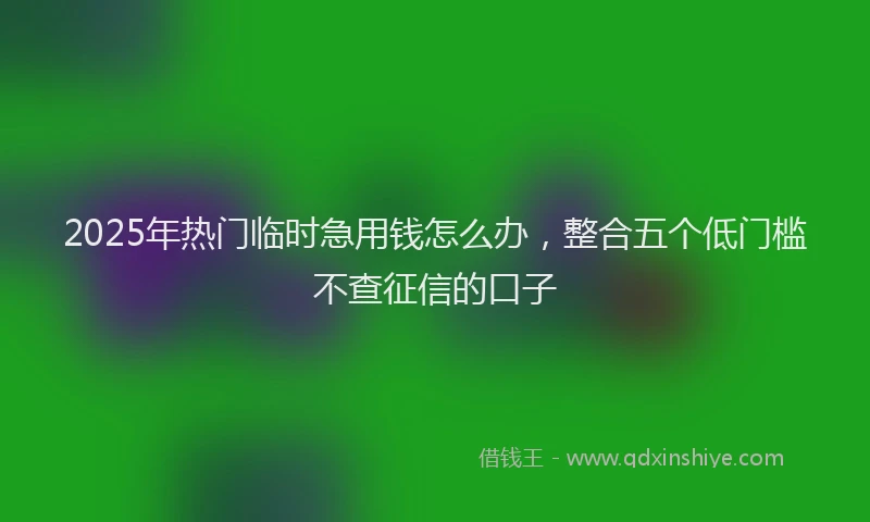 2025年热门临时急用钱怎么办，整合五个低门槛不查征信的口子