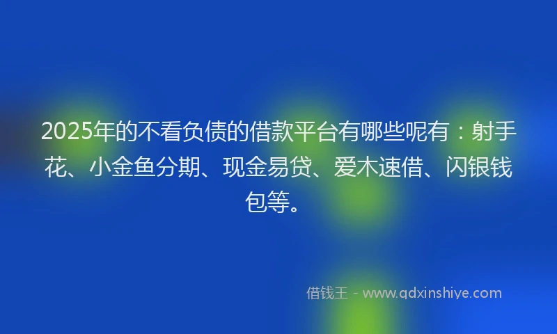 2025年的不看负债的借款平台有哪些呢有：射手花、小金鱼分期、现金易贷、爱木速借、闪银钱包等。