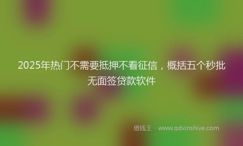 2025年热门不需要抵押不看征信，概括五个秒批无面签贷款软件