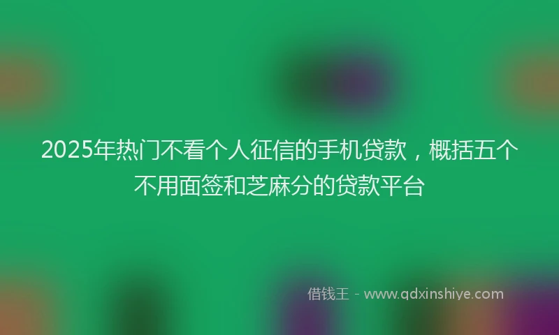 2025年热门不看个人征信的手机贷款，概括五个不用面签和芝麻分的贷款平台