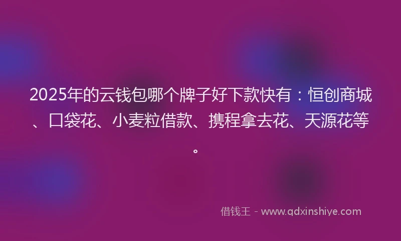 2025年的云钱包哪个牌子好下款快有：恒创商城、口袋花、小麦粒借款、携程拿去花、天源花等。