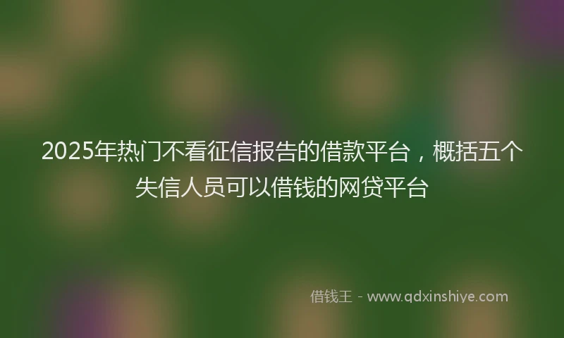 2025年热门不看征信报告的借款平台，概括五个失信人员可以借钱的网贷平台