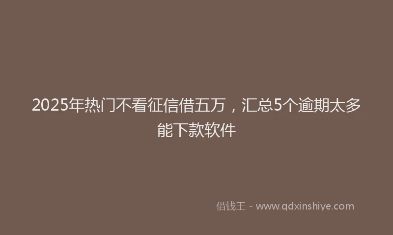 2025年热门不看征信借五万，汇总5个逾期太多能下款软件