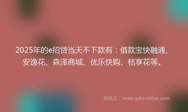 2025年的e招贷当天不下款有：借款宝快融通、安逸花、森泽商城、优乐快购、桔享花等。