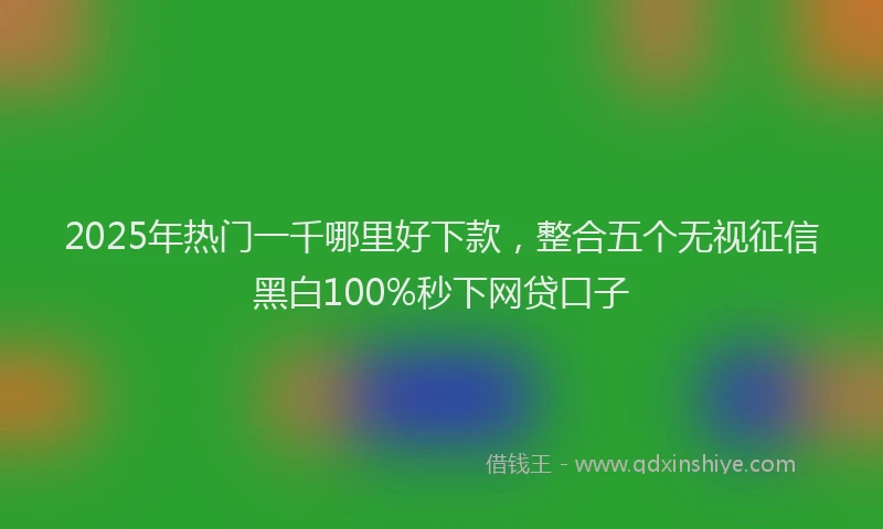 2025年热门一千哪里好下款，整合五个无视征信黑白100%秒下网贷口子