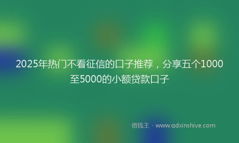 2025年热门不看征信的口子推荐，分享五个1000至5000的小额贷款口子