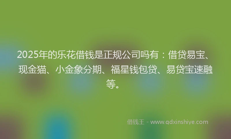 2025年的乐花借钱是正规公司吗有：借贷易宝、现金猫、小金象分期、福星钱包贷、易贷宝速融等。