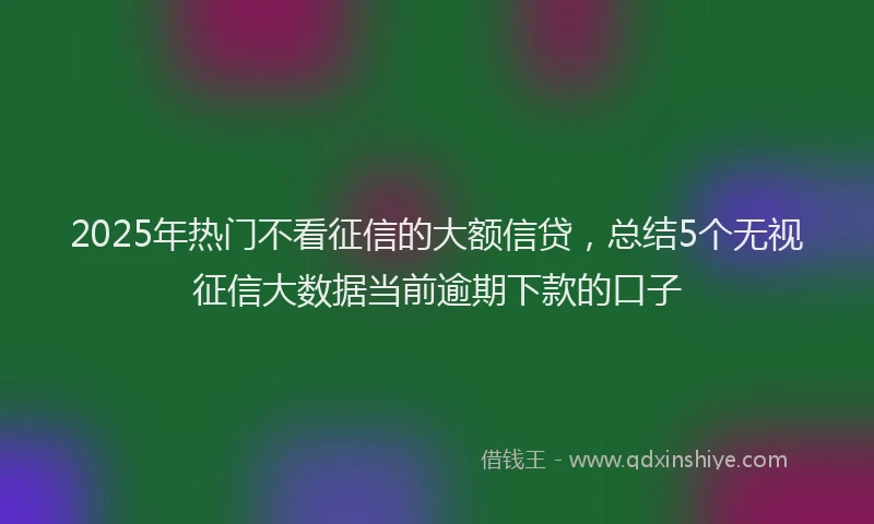 2025年热门不看征信的大额信贷，总结5个无视征信大数据当前逾期下款的口子