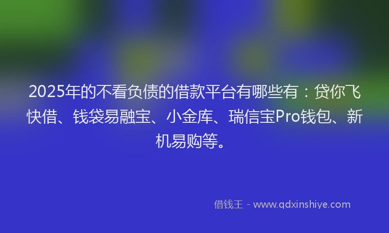 2025年的不看负债的借款平台有哪些有：贷你飞快借、钱袋易融宝、小金库、瑞信宝Pro钱包、新机易购等。