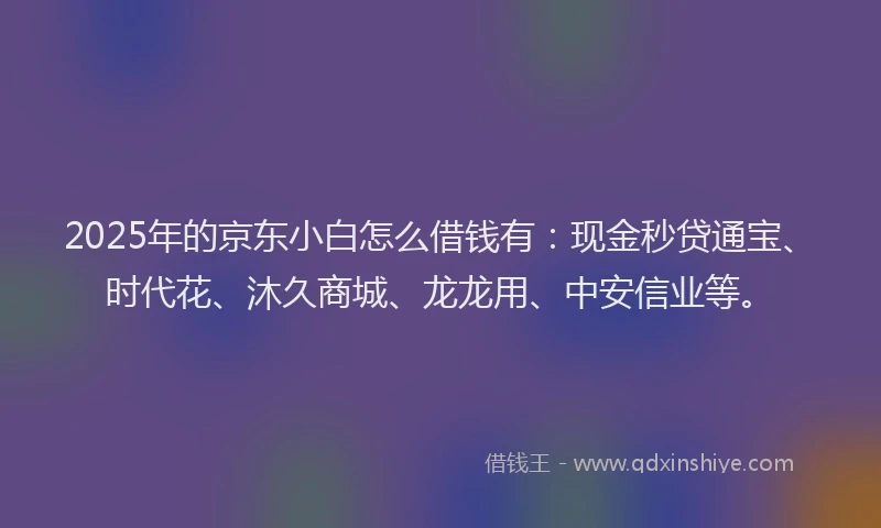 2025年的京东小白怎么借钱有：现金秒贷通宝、时代花、沐久商城、龙龙用、中安信业等。