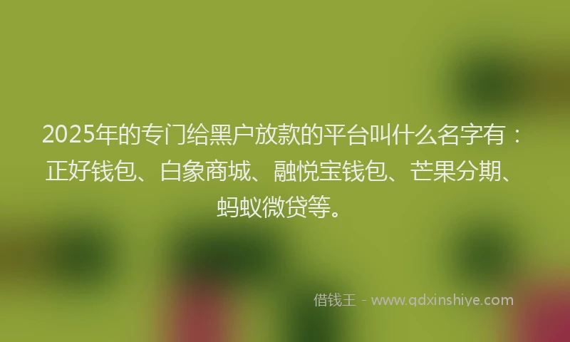 2025年的专门给黑户放款的平台叫什么名字有：正好钱包、白象商城、融悦宝钱包、芒果分期、蚂蚁微贷等。