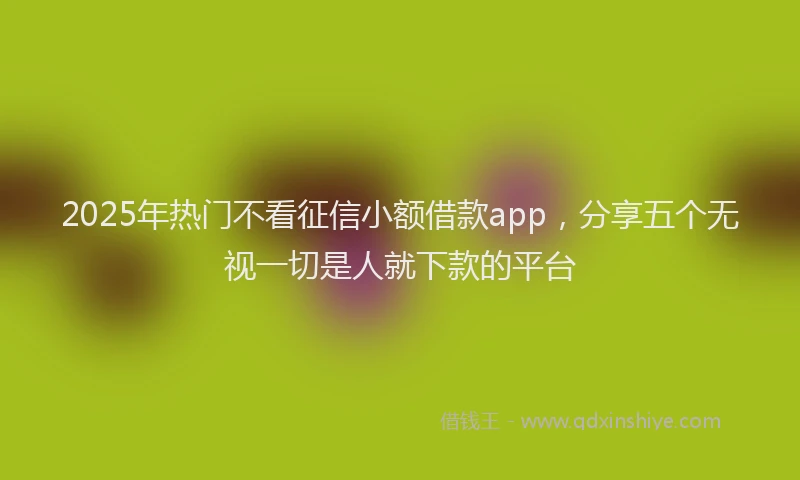 2025年热门不看征信小额借款app，分享五个无视一切是人就下款的平台