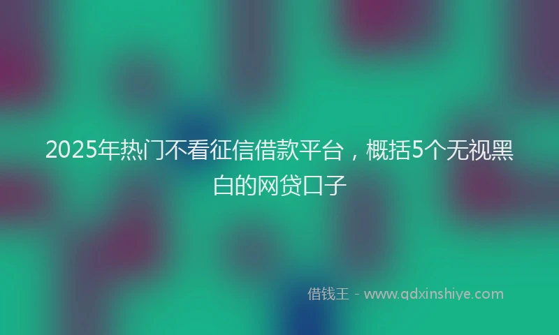 2025年热门不看征信借款平台，概括5个无视黑白的网贷口子