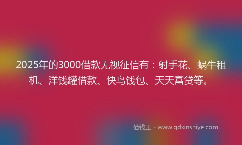 2025年的3000借款无视征信有：射手花、蜗牛租机、洋钱罐借款、快鸟钱包、天天富贷等。