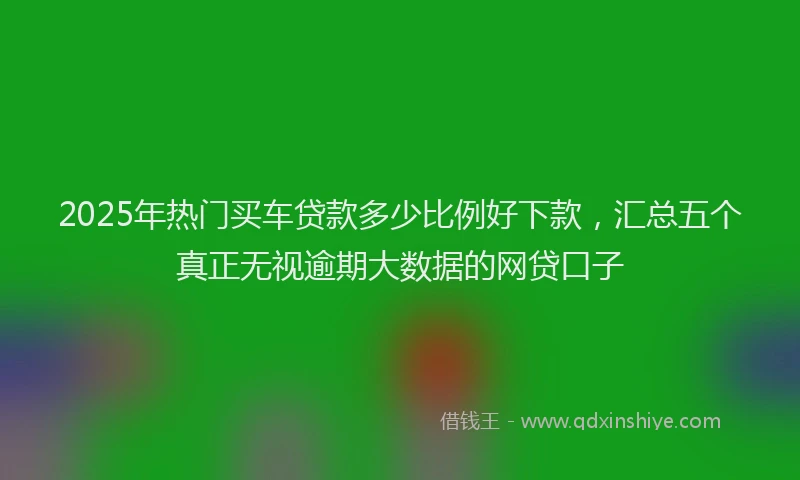 2025年热门买车贷款多少比例好下款，汇总五个真正无视逾期大数据的网贷口子