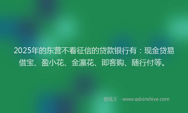 2025年的东营不看征信的贷款银行有：现金贷易借宝、盈小花、金瀛花、即客购、随行付等。