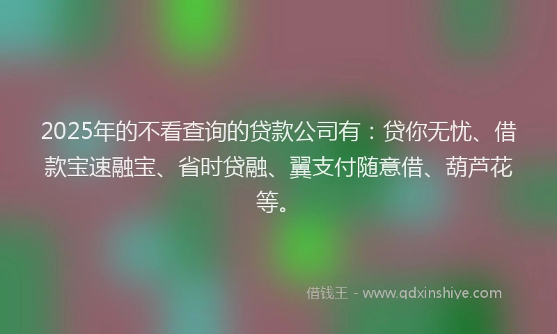 2025年的不看查询的贷款公司有：贷你无忧、借款宝速融宝、省时贷融、翼支付随意借、葫芦花等。