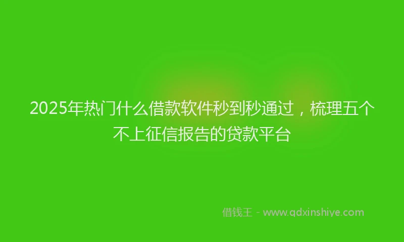 2025年热门什么借款软件秒到秒通过，梳理五个不上征信报告的贷款平台
