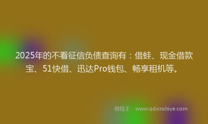 2025年的不看征信负债查询有：借蛙、现金借款宝、51快借、迅达Pro钱包、畅享租机等。