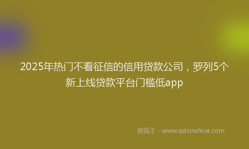 2025年热门不看征信的信用贷款公司，罗列5个新上线贷款平台门槛低app